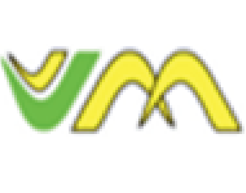 VM logo